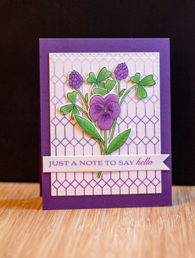 PurplePansies