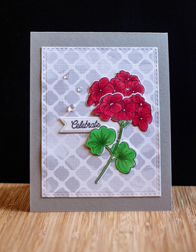 CelebrateGeraniums