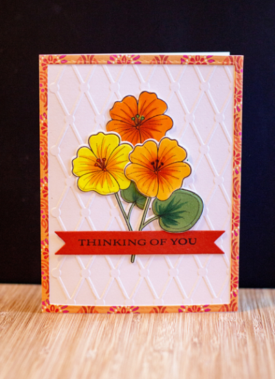 Nasturiums