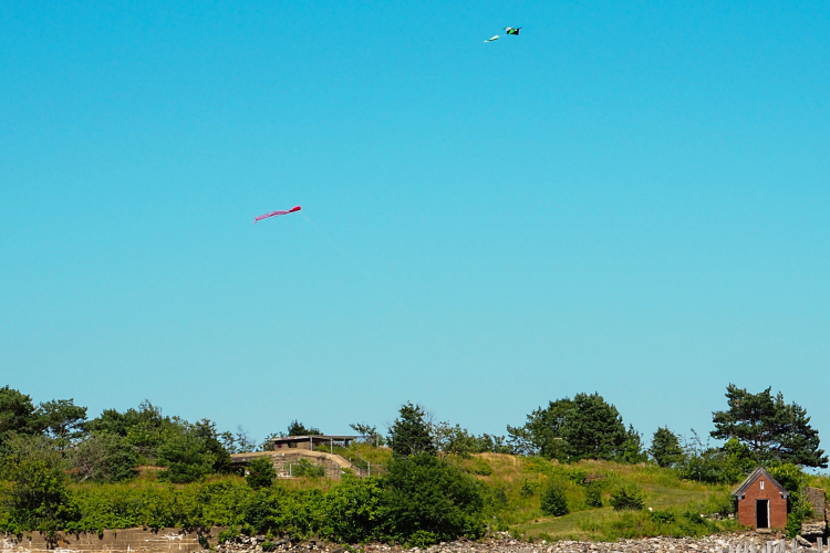 Kite3