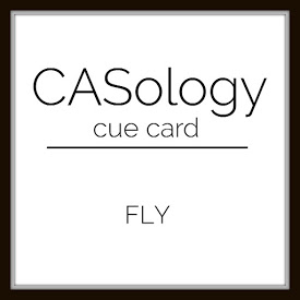 CASWeek 255 - Fly