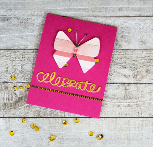 RaspberryButterfly
