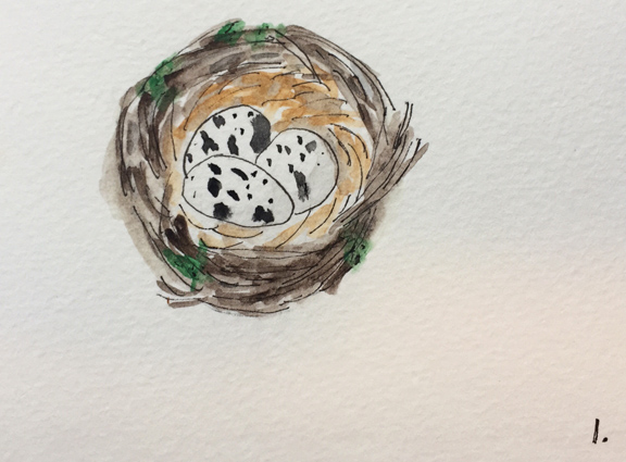 Day1