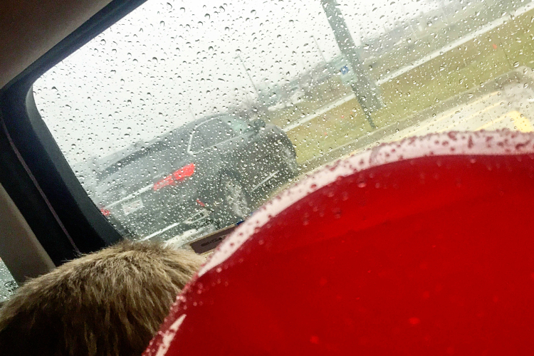 Raindrops