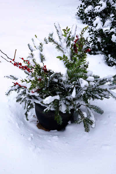 WinterWeather2