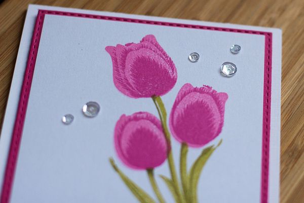 TulipsClose