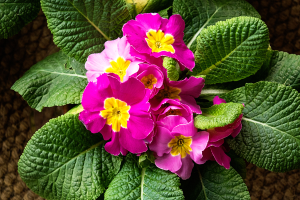 DSC00793ed_blog DSC00793ed_blog