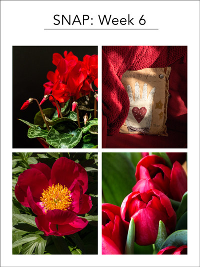SNAPWeek6_blog