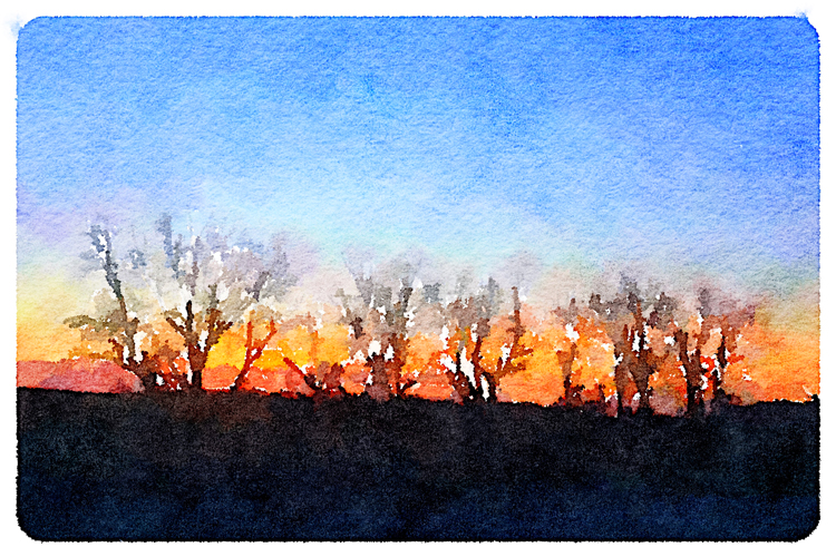 WaterlougeTrees_blog
