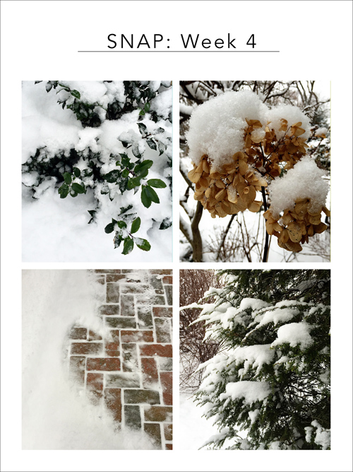 SNAP4_blog