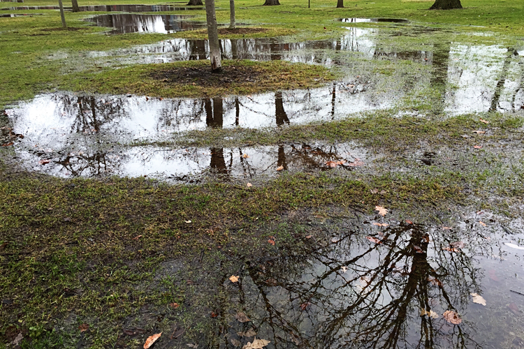 Puddles_blog