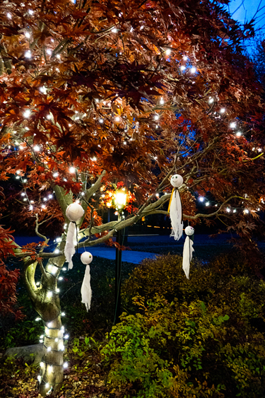 Tree_blog