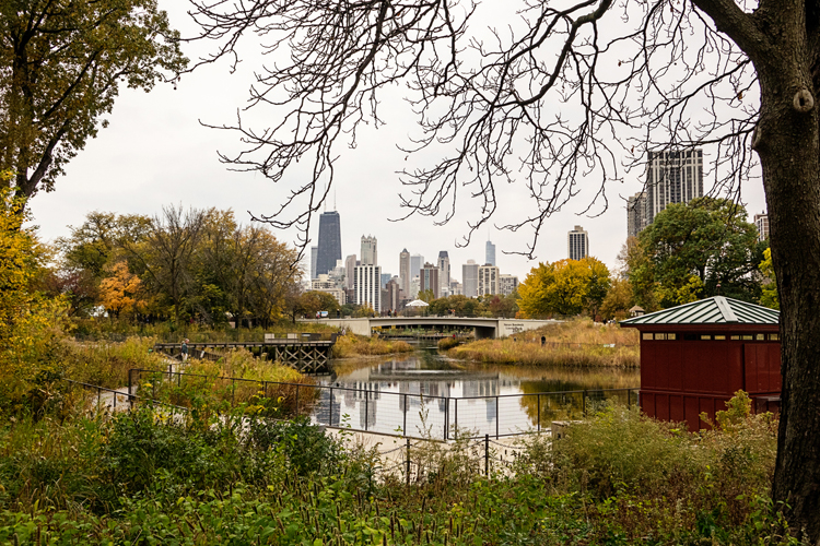 ChicagoSkyline_blog