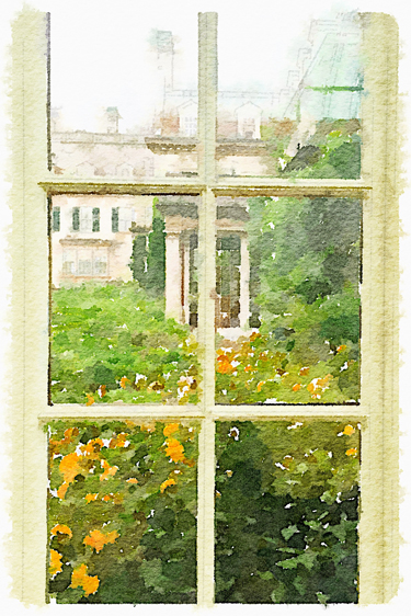 Waterlogue