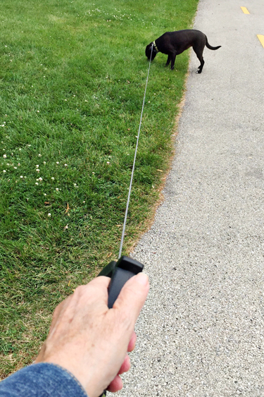 #3PersonWalkingDog