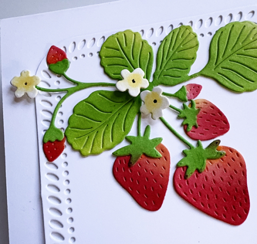 StrawberriesClose