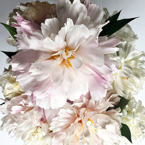 BouquetAbove_blog
