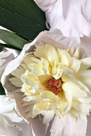 FromTheSide_blog