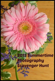 Small2015photohunt