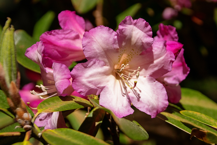 IMG_8571ed_blog_edited-1