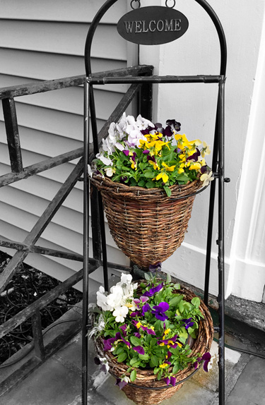 Baskets