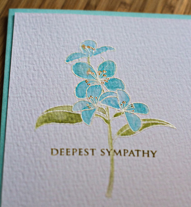 Sympathy3Close