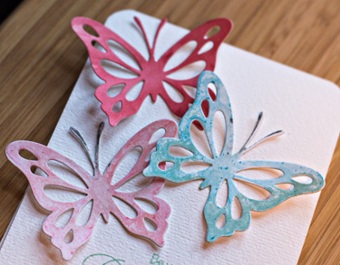 3ButterfliesClose