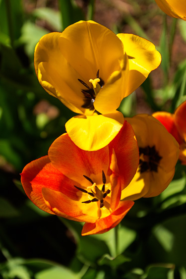 IMG_4583ed_blog