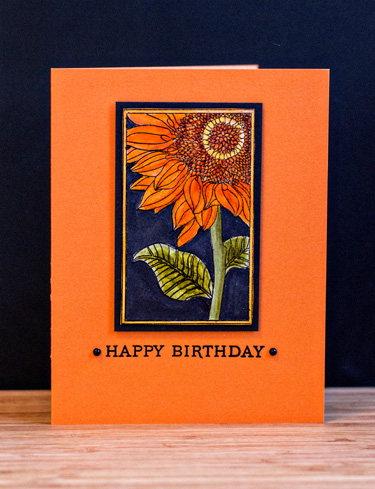 Sunflower