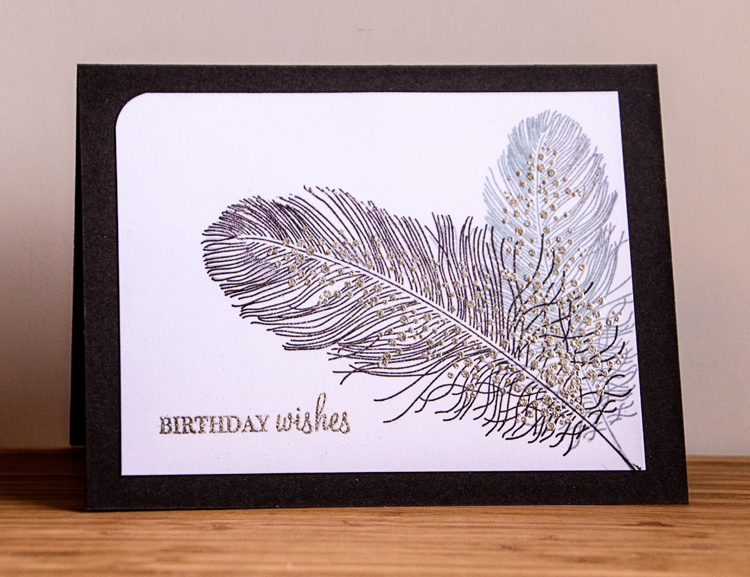 Feathers