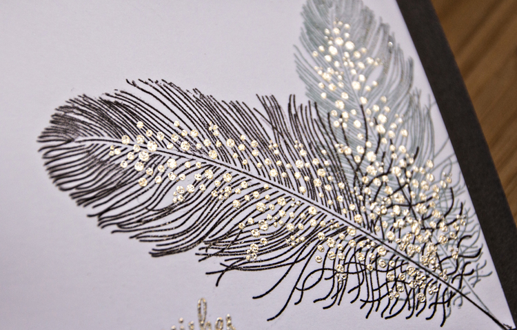 FeatherDetail