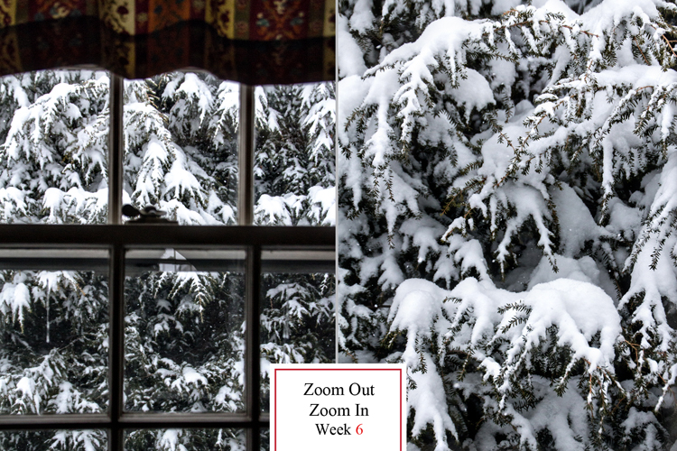 ZIZO6_blog