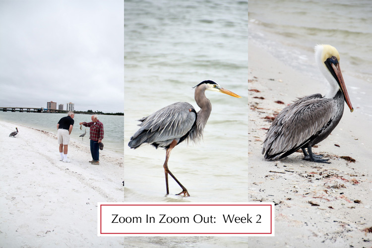 ZIZO2_blog