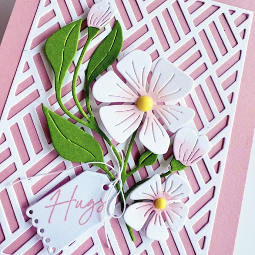 PinkButtercupClose
