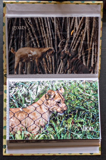 InsideZooBook