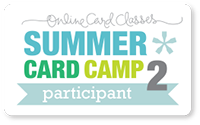 SCC2_participant1