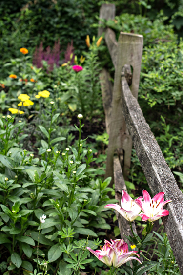 GardenFence_blog