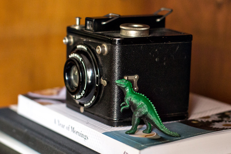 Dinosaur_blog