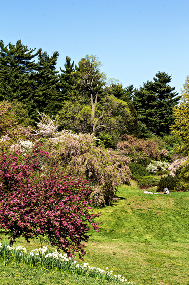 Park_blog