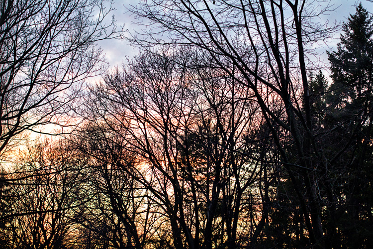 4.16EveningSky_blog
