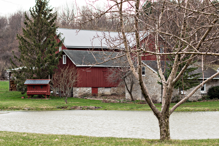 Pond1_blog