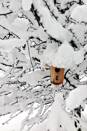 2.8Snow_w