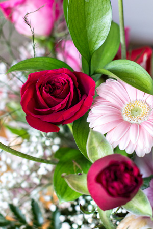 Rose&Daisyw