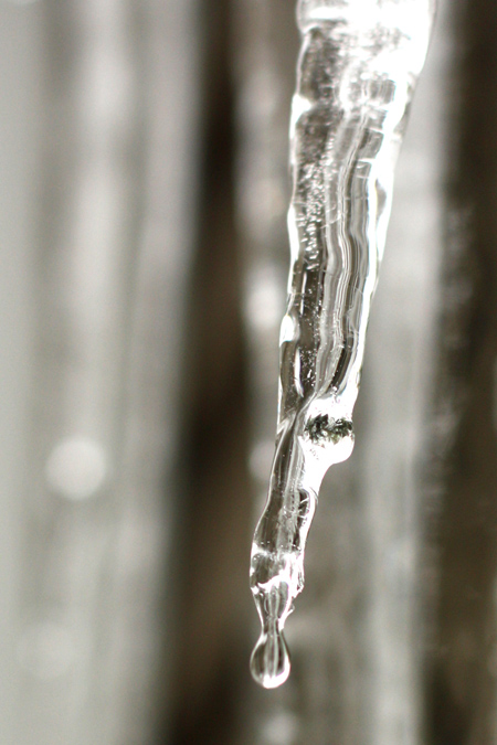 Iciclew