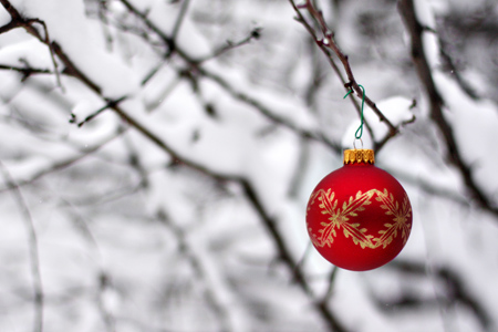 Ornamentw