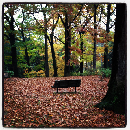 10.24Parkw