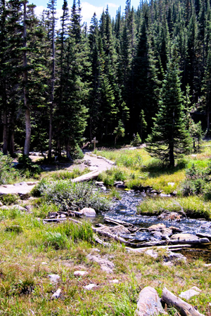 Trail1w