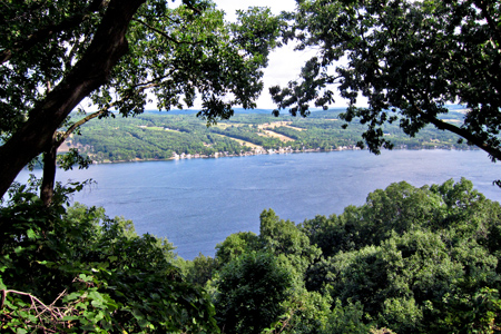 View_w