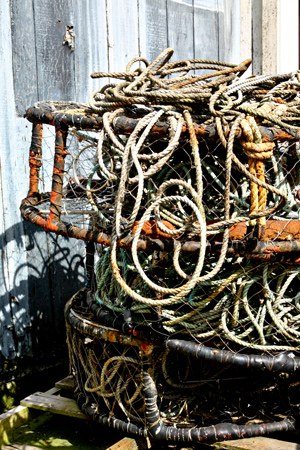 Ropesw