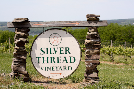 WinerySignw